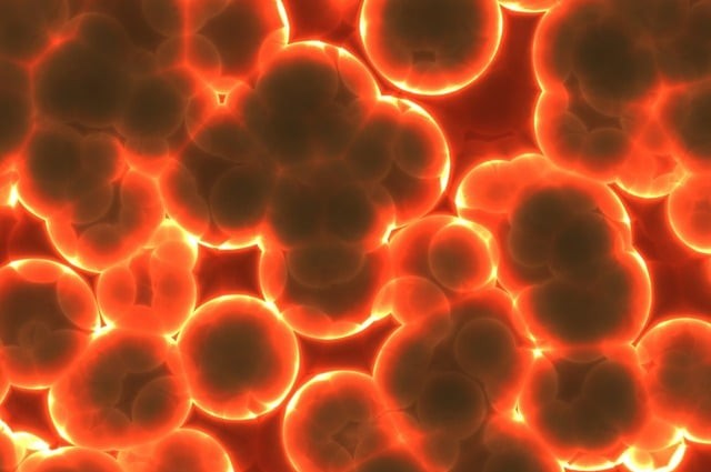 Mikrobiom és női hormonok összefüggései menopauzában